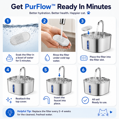 PurFlow™ Fountain Filters - 4pcs