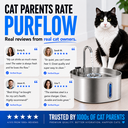 PurFlow™ Cat Fountain